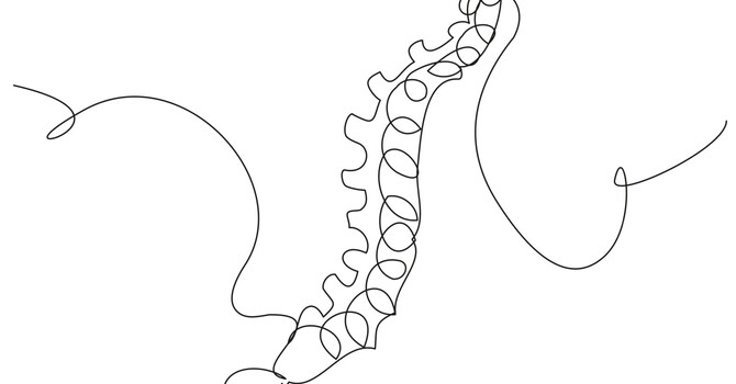 Is Chiropractic Care Even Good for You? image