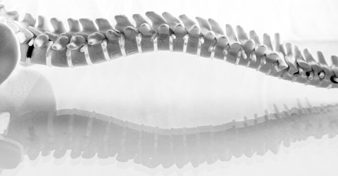How Did Chiropractic Start? A Short Story of the History of Chiropractic image