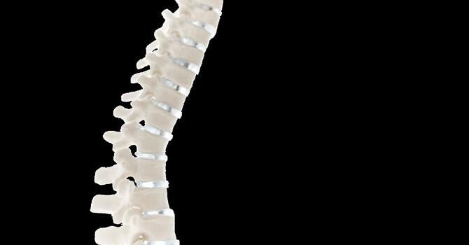 What New Technologies and Diagnostic Tools Are Being Used in Modern Chiropractic? image