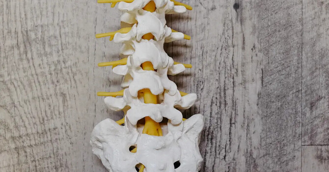 What is Subluxation? And Why It Matters for Your Health image
