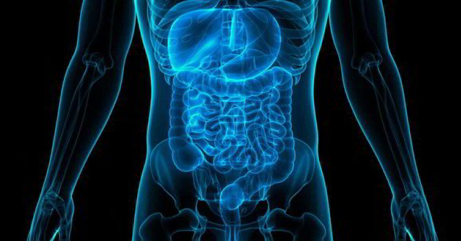 The Connection Between Gut Health and the Spine: How Chiropractic May Improve Digestion image